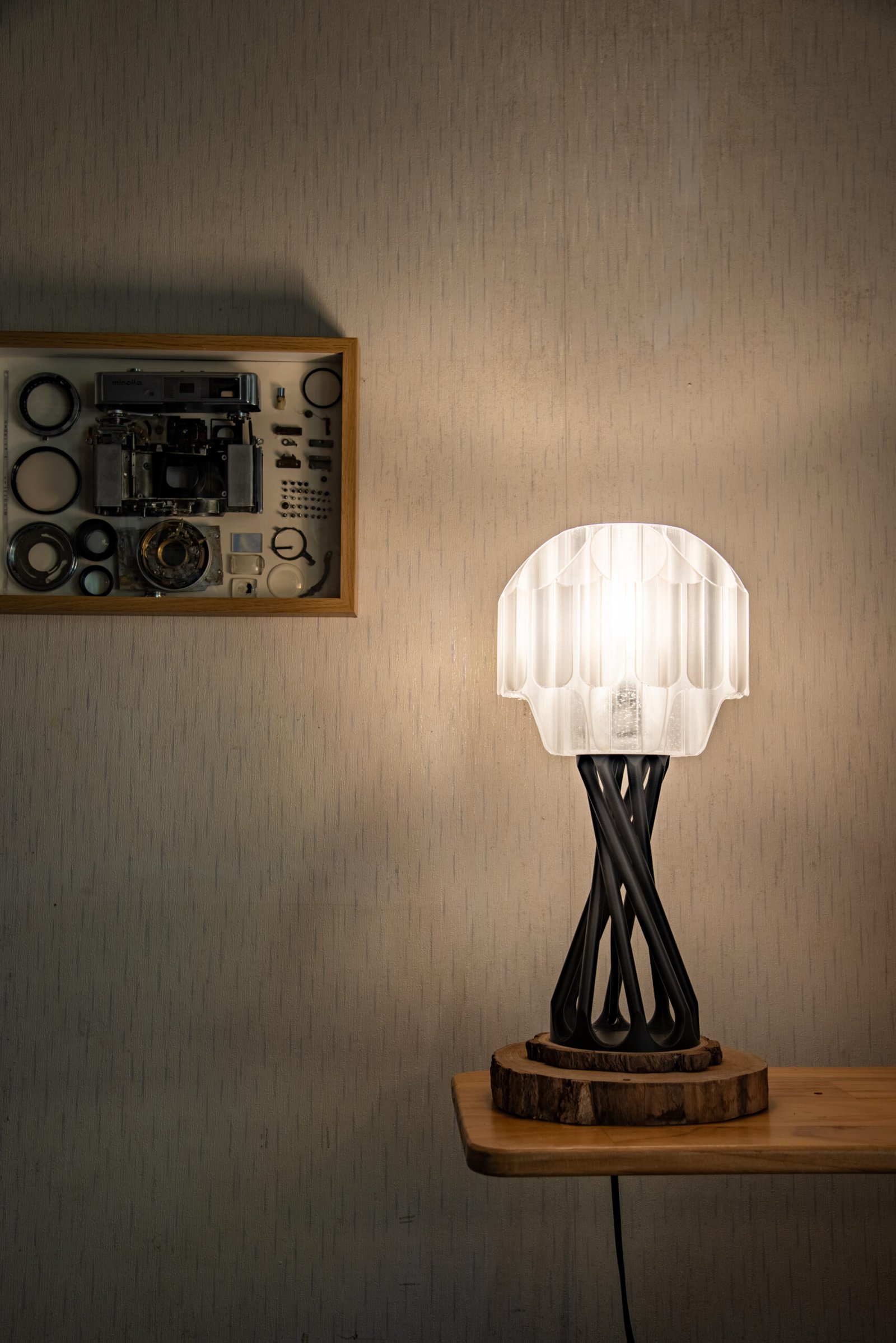 20251018-光棲V2.1-529-HDR