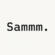 Sammm._.Studio