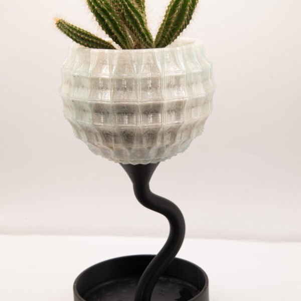 蒲公英 磁吸造型花器 幾何盆身與彎曲枝幹