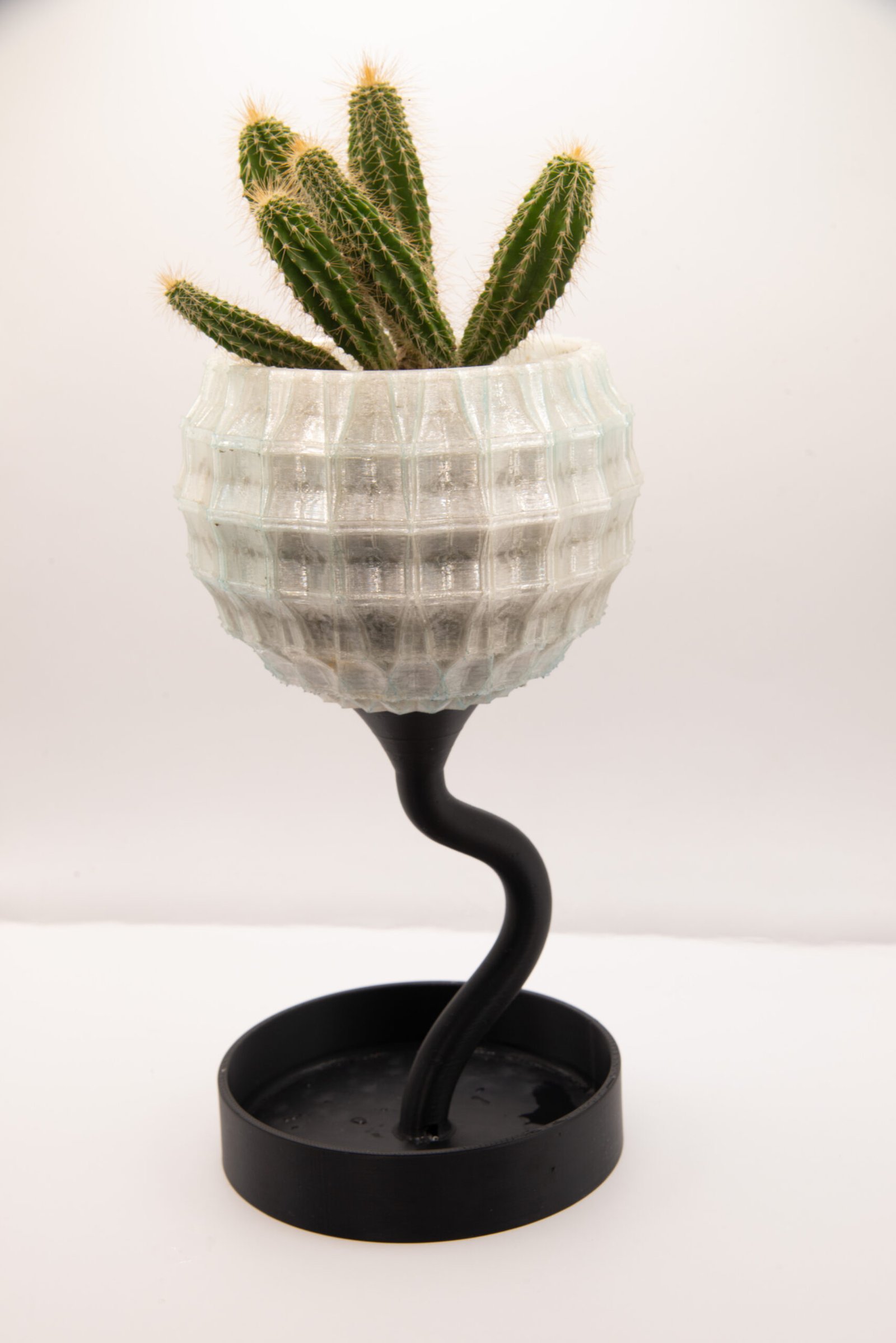 蒲公英 磁吸造型花器 幾何盆身與彎曲枝幹