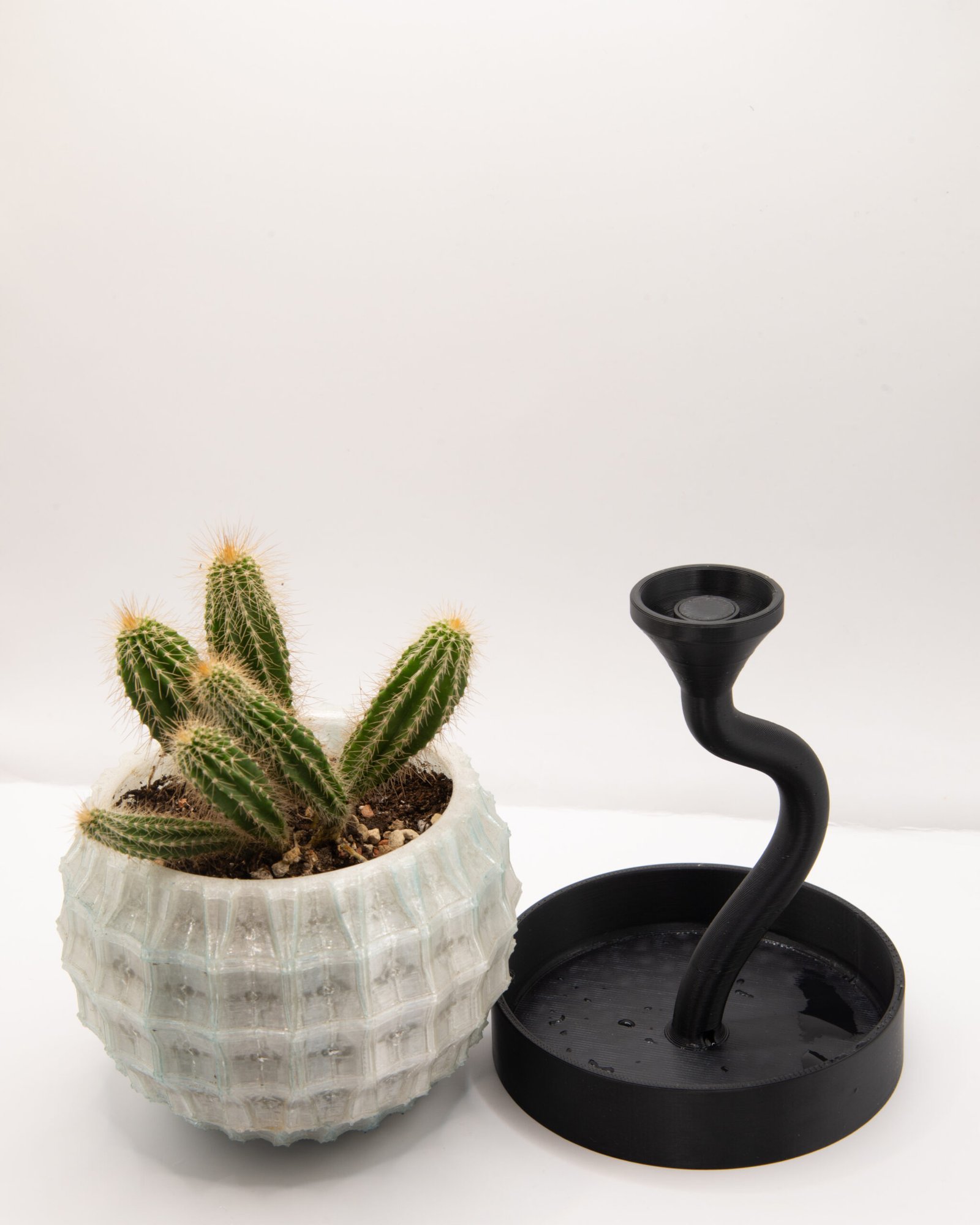 蒲公英花器 磁吸快拆分離設計