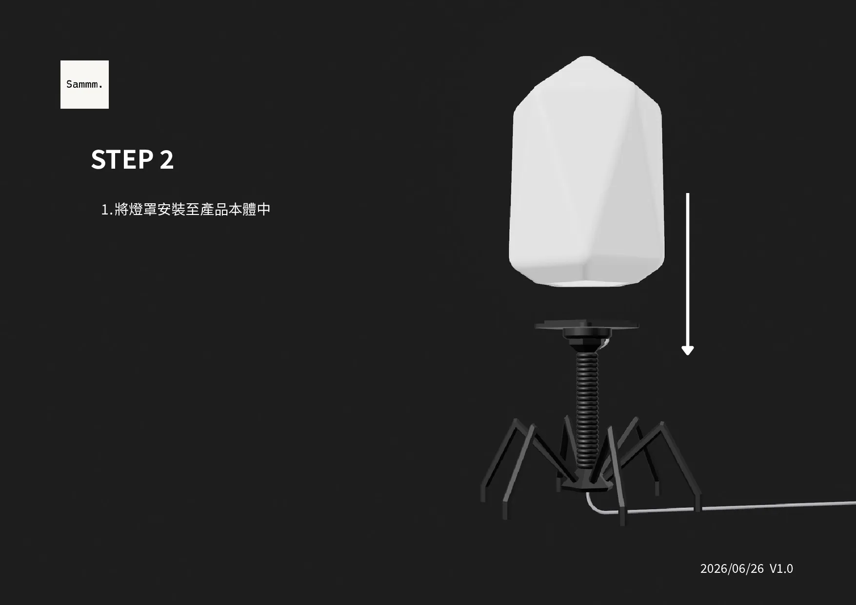 T4 噬菌體組裝說明第 3 頁